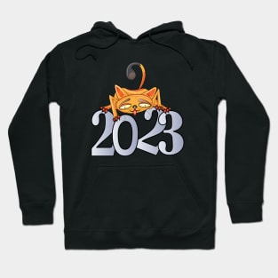 Happy New Year Cats 2023 Hoodie